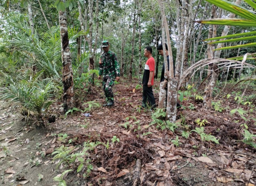 Sertu Joko Purnomo Patroli Karhutla, Pastikan Wilayah Bencah Umbai Aman dari Kebakaran
