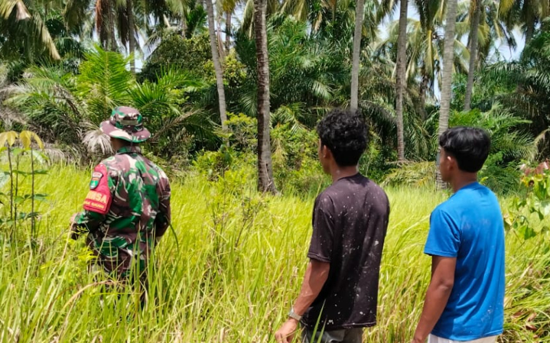 Babinsa Koramil 03/Sungai Sembilan Gencarkan Patroli dan Sosialisasi Karhutla di Lubuk Gaung