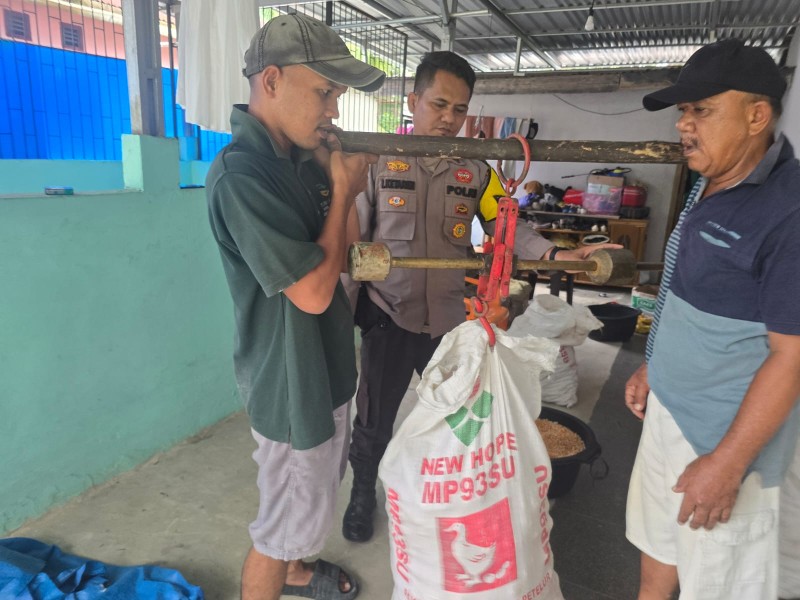 Panen Jagung Pipil di Minas Barat Capai 250 Kilogram, Wujud Nyata Polri Dukungan Ketahanan Pangan