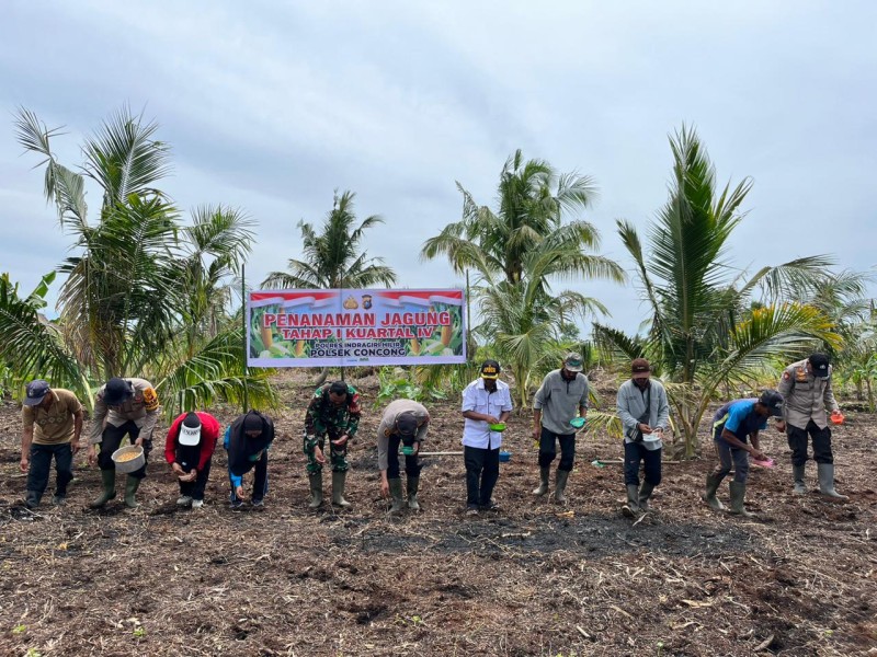 Dukung Swasembada Pangan, Polsek Concong Gelar Penanaman Jagung