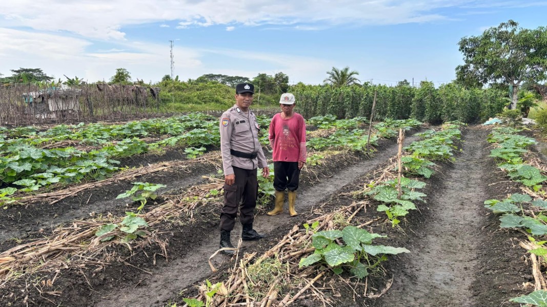 Bhabinkamtibmas Tanah Merah Cek Pertumbuhan Tanaman Labu Petani