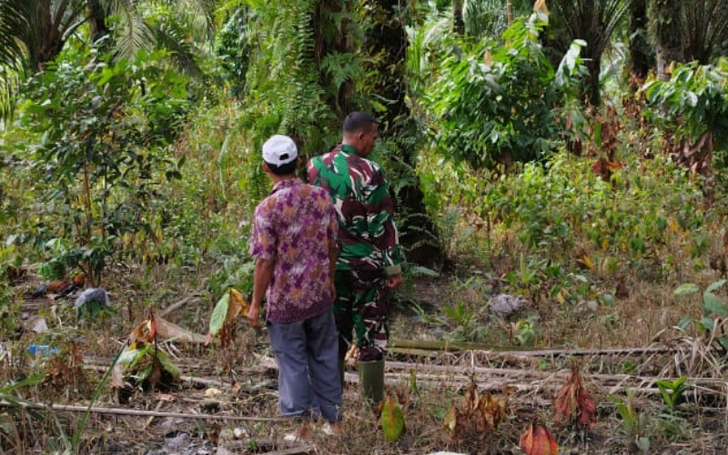 Patroli Babinsa Koramil 03/Sungai Sembilan Fokus Cegah Karhutla di Batu Teritip