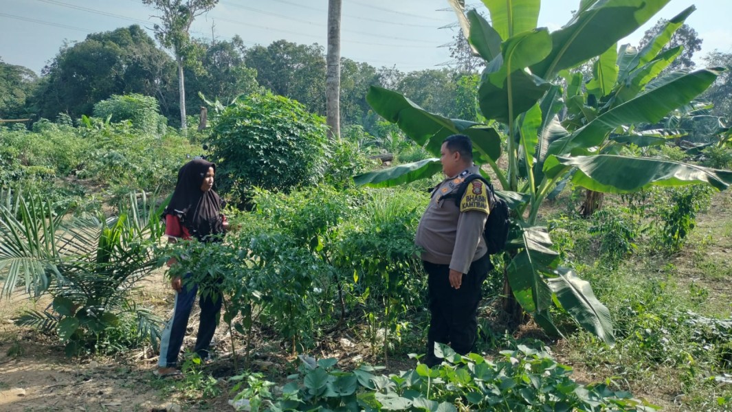 Swasembada Pangan, Polres Inhu Cek Tanaman dan Ayam Petelur Warga
