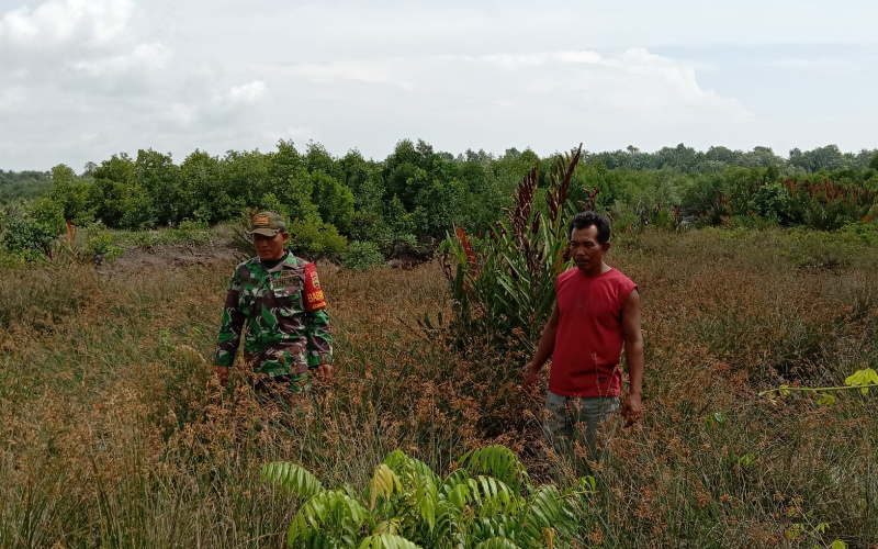 Sertu Jainal Arifin Cegah Karhutla dengan Cara Patroli Rutin