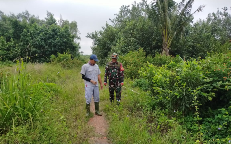 Patroli dan Sosialisasi Karhutla, Babinsa Pastikan Lahan di Bangsal Aceh Aman