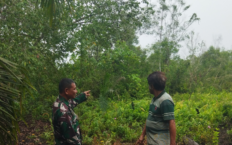 Babinsa Koramil 01/Dumai Ajak Warga Cegah Karhutla, Sekaligus Dampingi Budidaya Terong