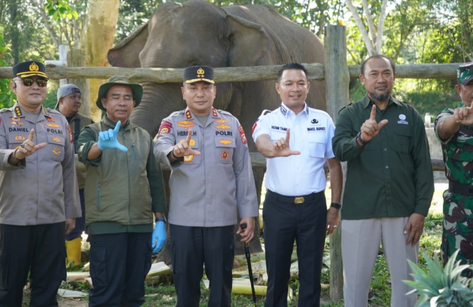 Wabup Pelalawan Dampingi Kapolda Riau Kunjungi Anak Gajah Sumatera Yang Baru Lahir di TNTN