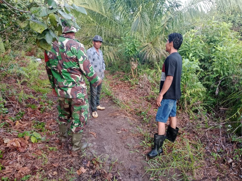 Babinsa Koramil 03/Minas Gelar Patroli Karhutla, Pastikan Wilayah Aman Dari Titik Api