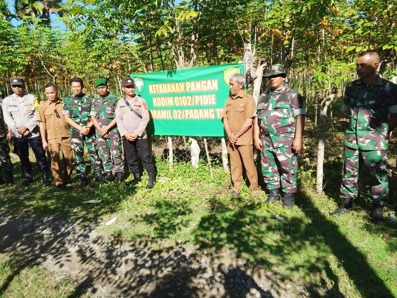 Koramil Padang Tiji Optimalkan Lahan Demi Ketahanan