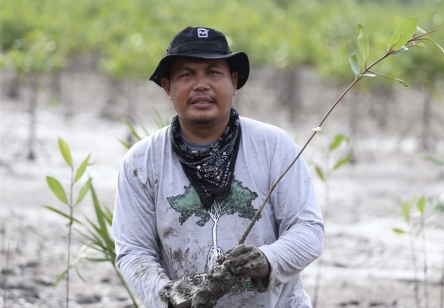 Roadmap Perkelapaan Riau Harus Serius Tangani Sektor Hulu