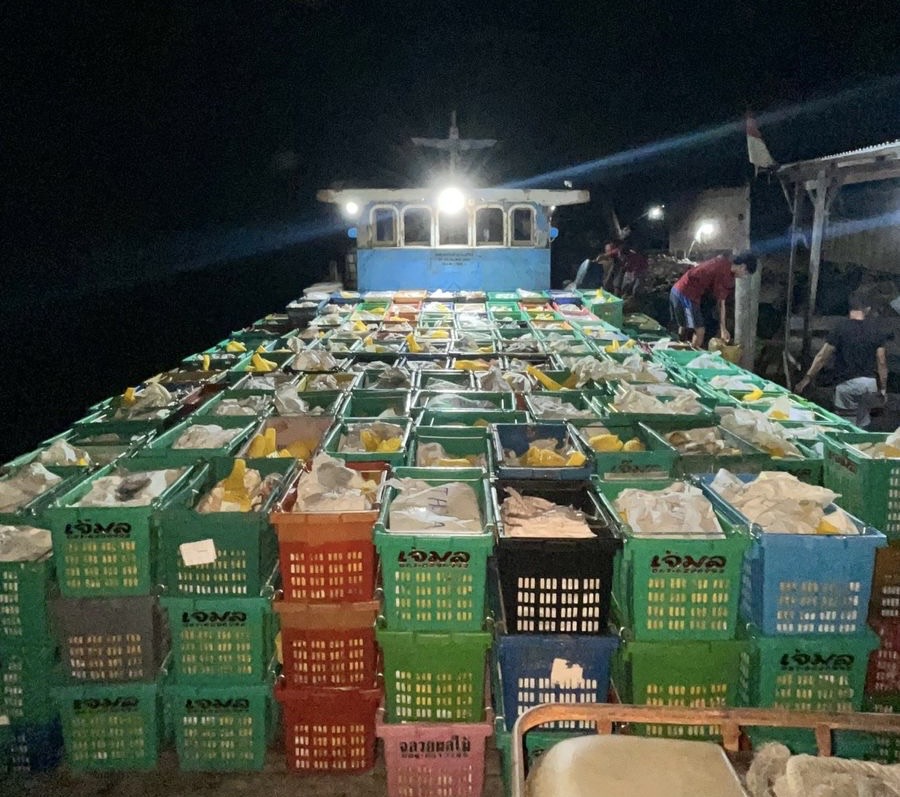 Bea Cukai Tembilahan Gagalkan Masuknya 15 Ton Mangga Ilegal ke Inhil