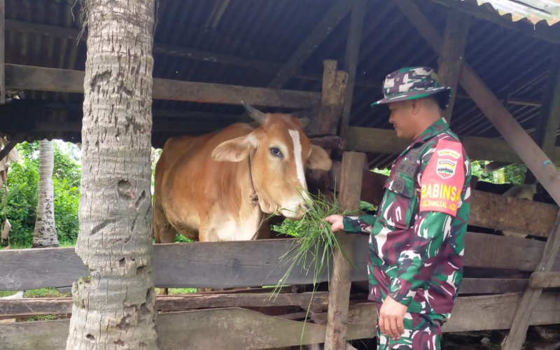 Terkait Kesehatan, Babinsa Koramil 03 Berikan Sosialisasi di Peternakan
