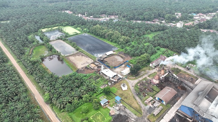DLH Kampar Pastikan Sungai Tapung Bebas dari Limbah PKS Tandun
