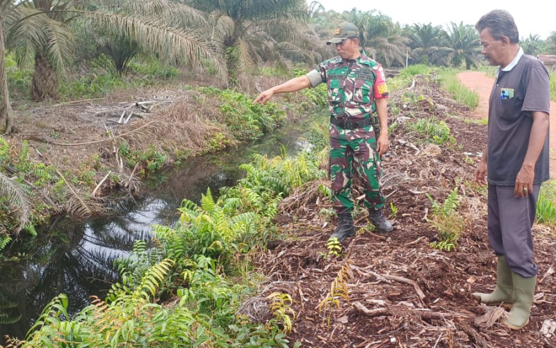 Patroli Karhutla oleh Babinsa Koramil 02, Jaga Keamanan Lingkungan