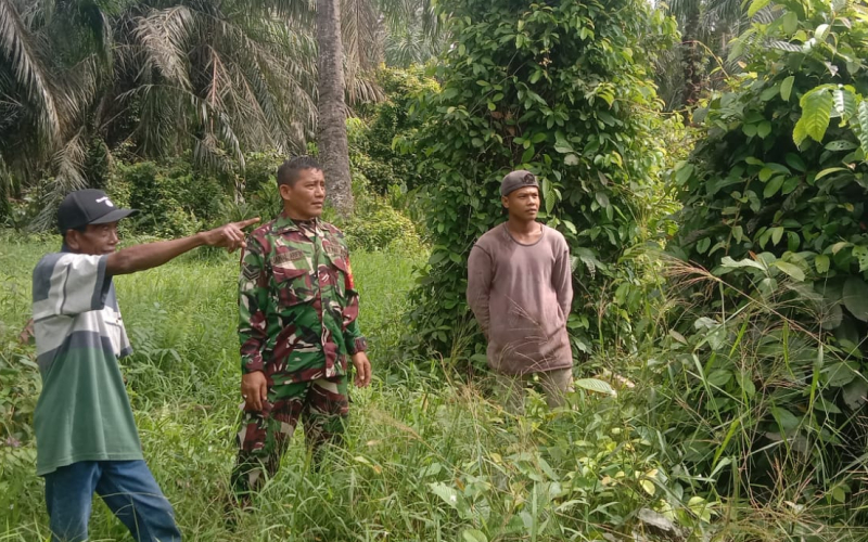 Babinsa Koramil 03 Intensif Patroli Cegah Karlahut di Area Gambut Kilang Manis