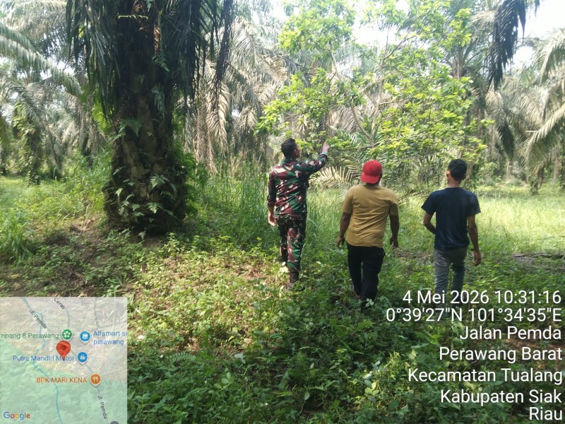 Babinsa Koptu Togi Sitorus Patroli Karhutla di Perawang Barat, Pastikan Nihil Titik Api