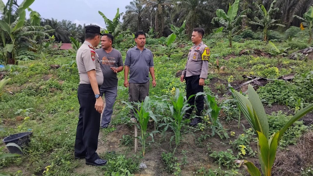 Wakapolsek Minas Pimpin Pengecekan Kesiapan Lahan 1 Hektare untuk Penanaman Jagung di Minas Barat