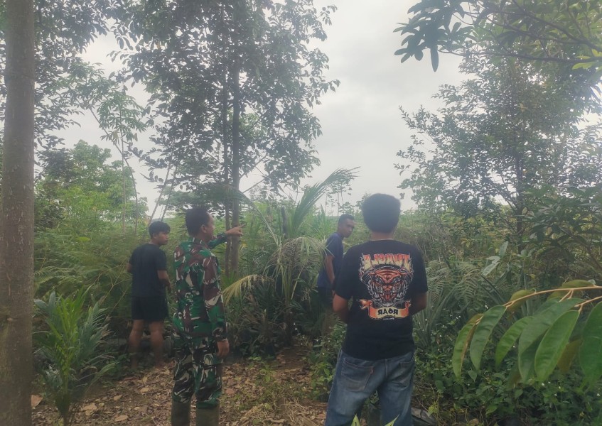 Serda Heppy Setyawan Patroli Karhutla di Tasik Betung, Pastikan Wilayah Bebas Titik Api