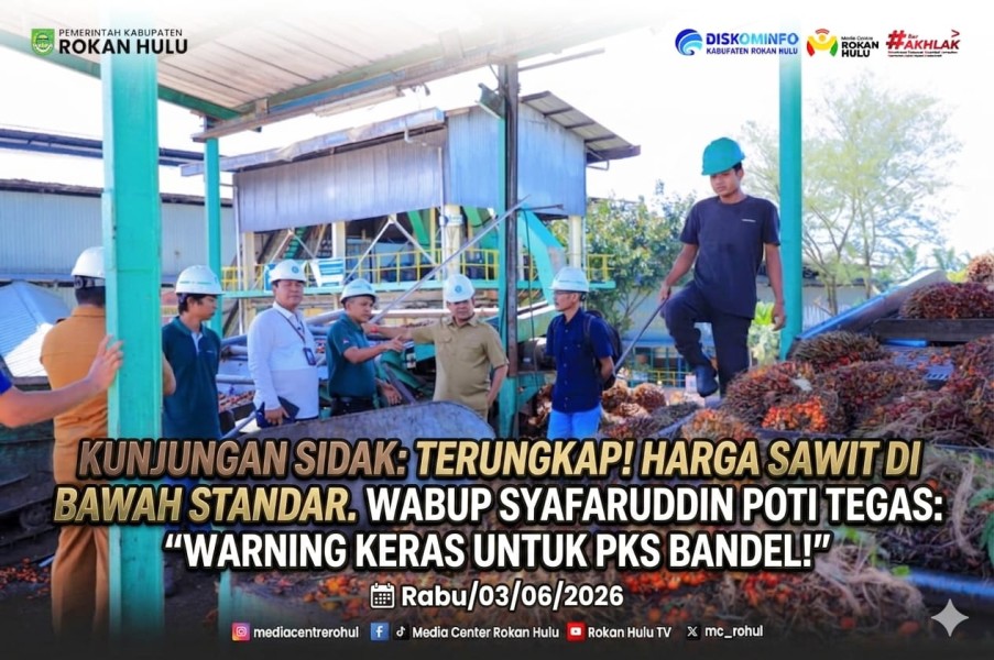 Temukan Harga Sawit di Bawah Standar Saat Sidak, Wabup Syafaruddin Poti Beri Warning PKS di Rohul