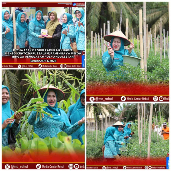 Ketua TP PKK Rohul Kunker ke Kunto Darussalam: Panen Melon dan Penguatan Posyandu Lestari