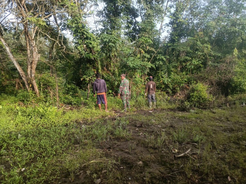 Babinsa Serda Haris Sandya Pratama: Patroli Karhutla Koramil 03/Minas Berjalan Aman Tanpa Temuan Titik Api