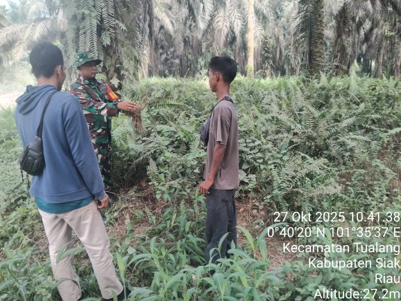 Kopda Gunariadi Laksanakan Patroli Karlahut di Perawang Barat, Situasi Aman dan Nihil Titik Api