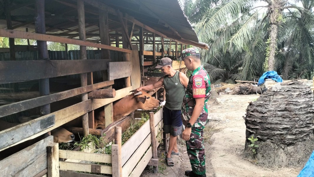 Babinsa Koramil 03/Minas Dampingi Sosialisasi dan Monitoring PMK di Desa Minas Barat