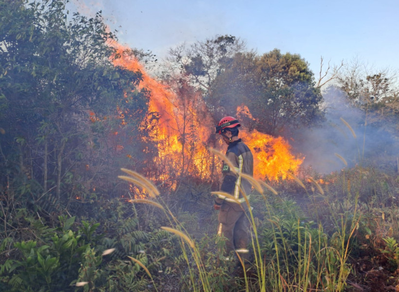 Masuki Kemarau, BPBD Kabupaten dan Kota Diminta Siapkan Langkah Antisipasi Karhutla