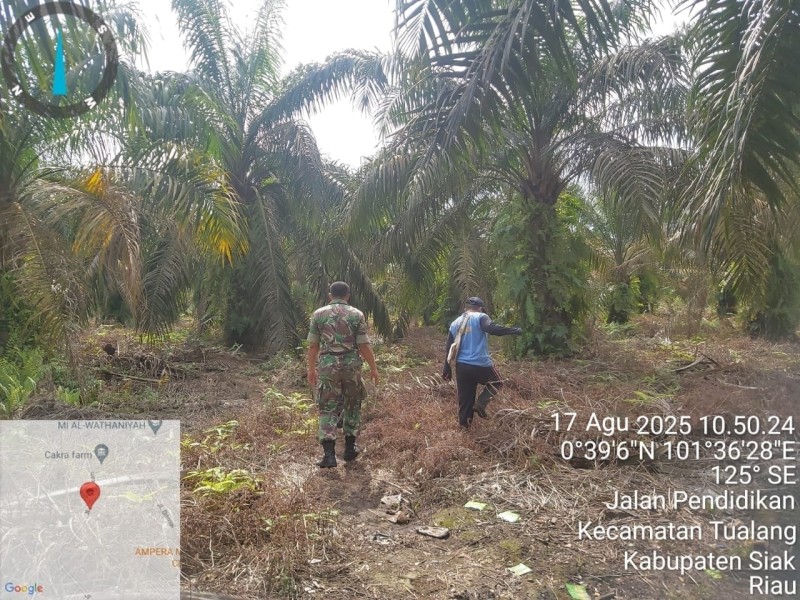 Babinsa Koramil 04/Perawang Serda Deddy H Gelar Patroli Karhutla di Kampung Tualang