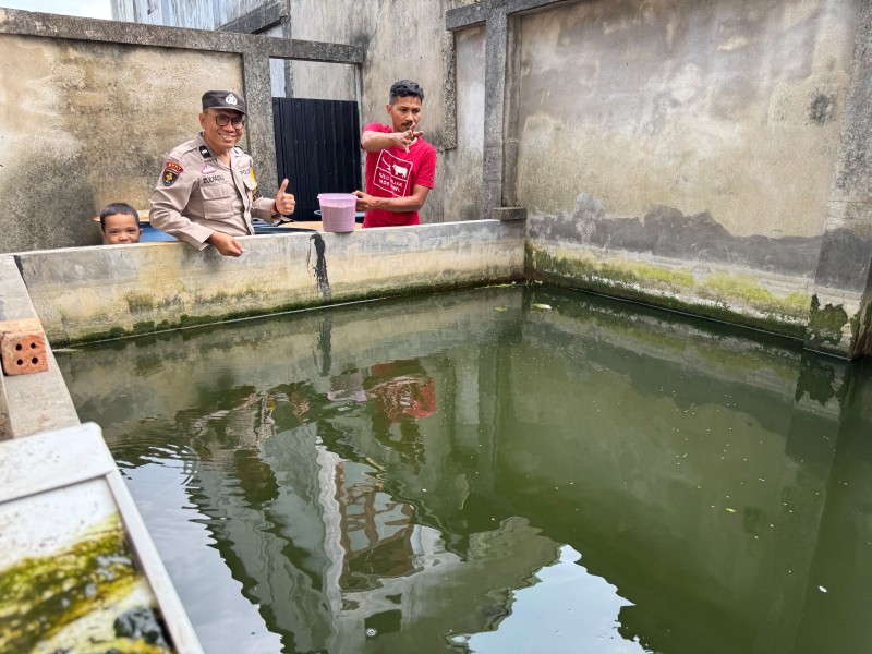Polsek Tanah Merah Dukung Budidaya Ikan Nila untuk Ketahanan Pangan