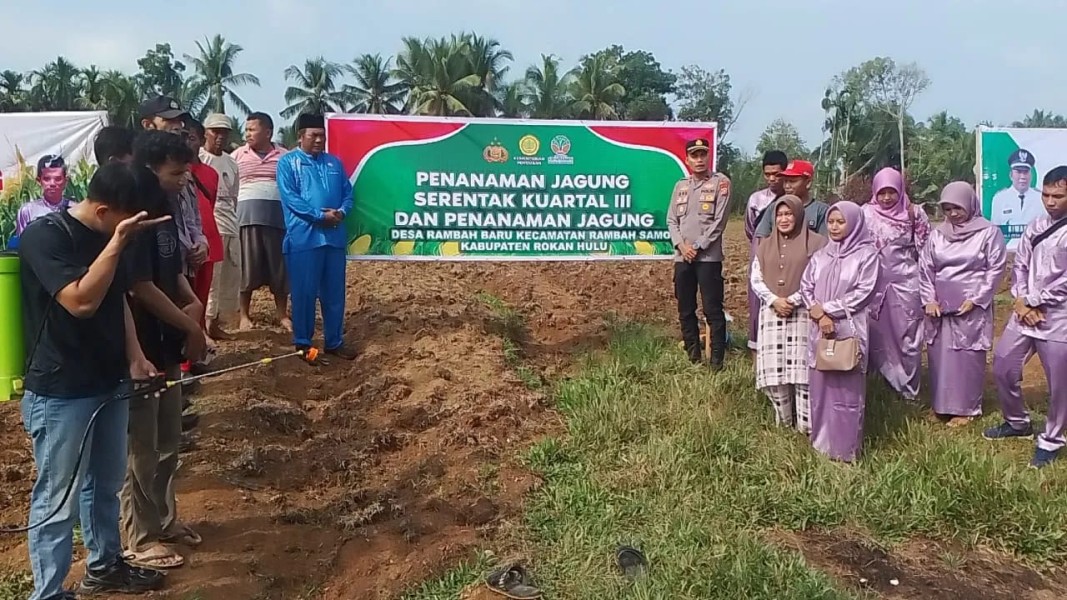 Desa Rambah Baru Terpilih Jadi Lokasi Penanaman Jagung Program Ketahanan Pangan Kuartal III 2025