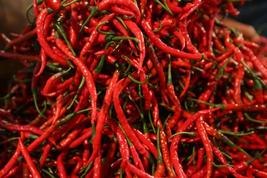 Pemprov Riau Datangkan 1 Ton Cabai Merah dari Sleman, Dijual Rp58 Ribu per Kg