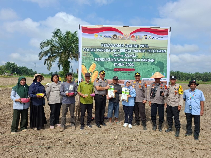 Polsek Pkl Kerinci Tanam Jagung 3 Hektar di Km 55: Dukung Swasembada Pangan Presiden RI