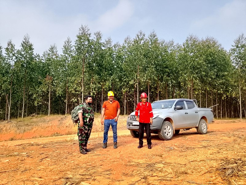 Serma D Sihombing Patroli Karhutla di Kampung Muara Bungkal Siak, Pastikan Wilayah Tetap Aman dari Kebakaran Hutan dan Lahan