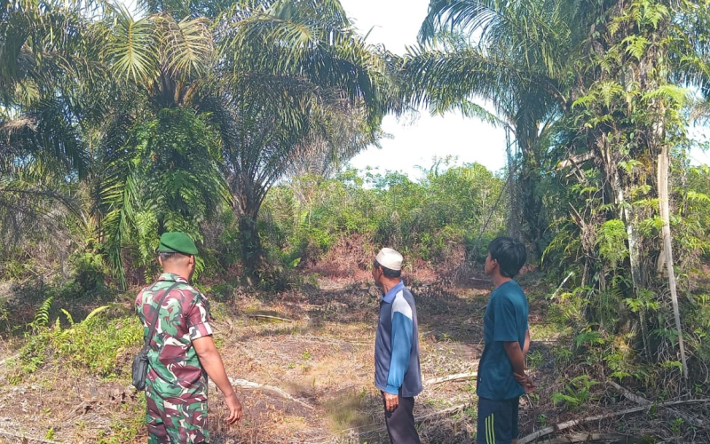 Cegah Karhutla, Koramil 01/Dumai Patroli Lahan Gambut di Tanjung Palas