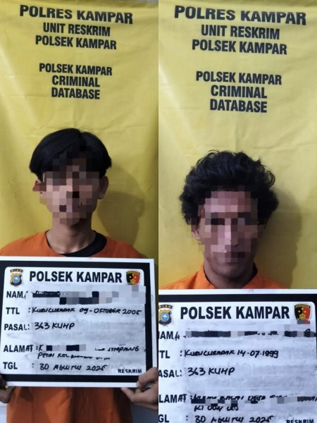 Baterai Raib, Pelaku Dibekuk! Polsek Kampar Sikat Pencuri Baterai Mobil di Simpang Petai, Korban Rugi Jutaan!