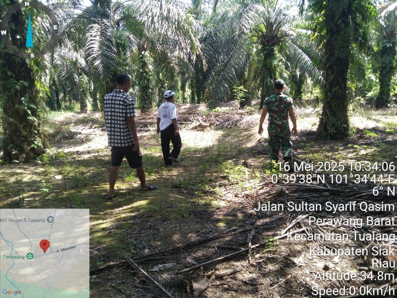 Babinsa Koramil 04/Perawang Intensifkan Patroli Karhutla, Selalu Imbau Masyarakat Tingkatkan Kewaspadaan