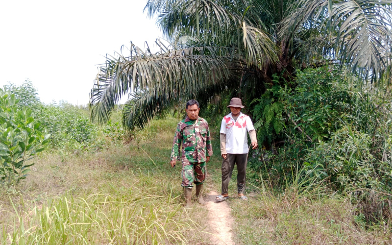Babinsa Koramil 01 Dorong Masyarakat Kelola Lahan Secara Produktif