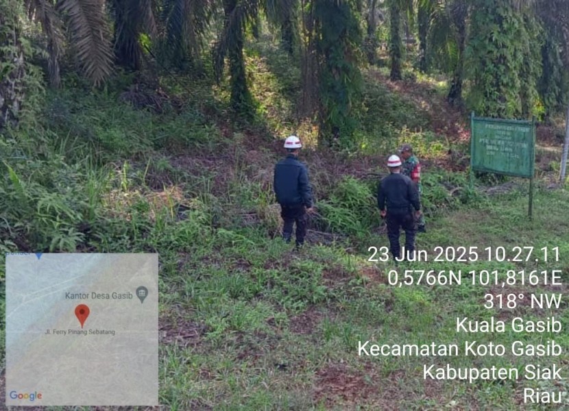 Babinsa Koramil 04/Perawang Laksanakan Patroli Karhutla di Kuala Gasib, Titik Api Nihil