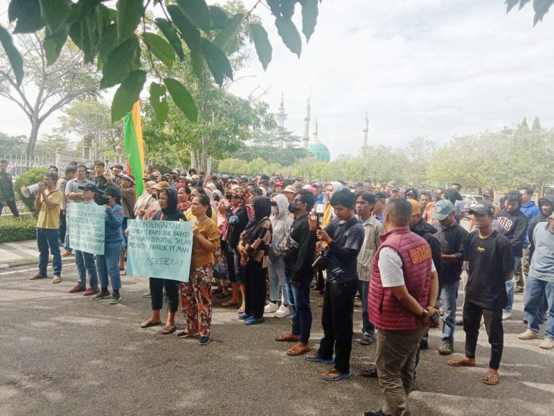 Ratusan Warga & Karyawan PT MAN Geruduk Kantor Bupati Rohul, Protes Semenisasi yang Bikin Perusahaan Lumpuh