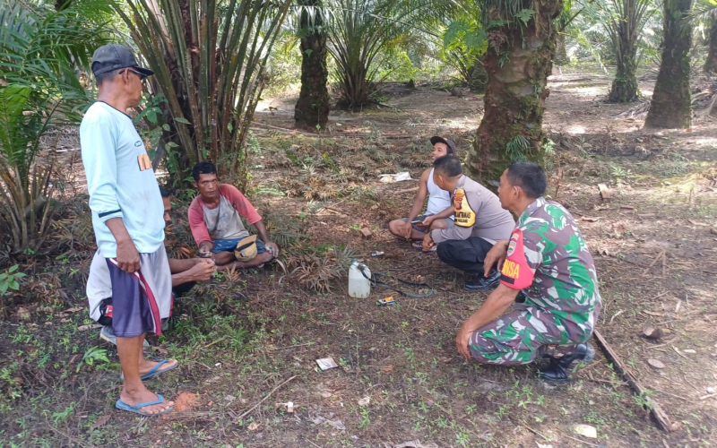 Patroli, Babinsa dari Koramil 02 Lakukan Antisipasi Dini Terhadap Ancaman Karhutla
