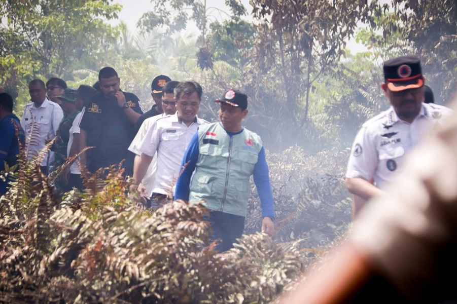 4 Titik Lahan di Payung Sekaki Pekanbaru Terbakar