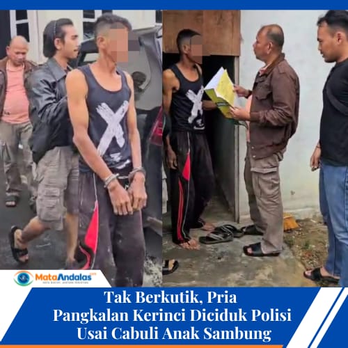 Tak Berkutik, Pria Pangkalan Kerinci Diciduk Polisi Usai Cabuli Anak Sambung