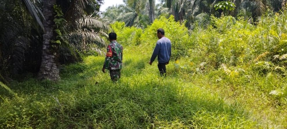 Babinsa Kodim 0320/Dumai Ingatkan Warga Lubuk Gaung Bahaya dan Sanksi Bakar Lahan