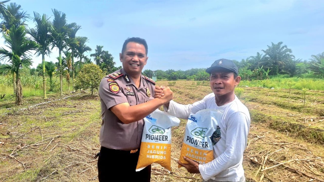 Polsek Koto Gasib salurkan benih jagung pipil kepada Kelompok Tani Mekar Sari