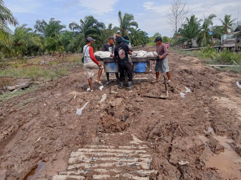 Jalan Berlumpur, Petani Kampung Tengah Batu Teritip Sulit Angkut Hasil Panen