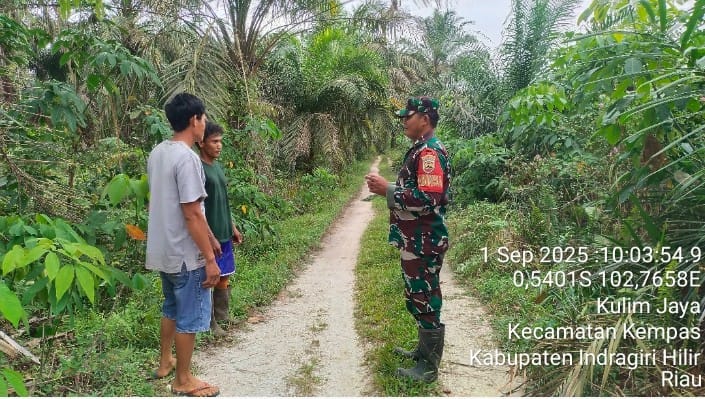 Babinsa Koramil 03/Tempuling Patroli Karhutla untuk Antisipasi Kebakaran Lahan
