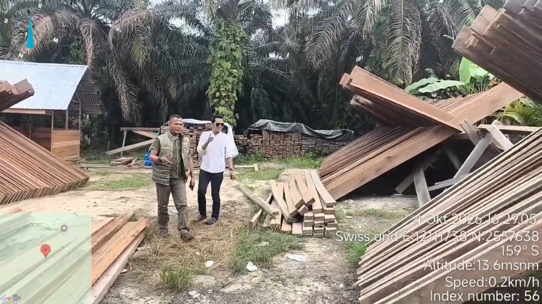 Diduga Praktik Illegal Logging di Talang Muandau Bengkalis Marak, Aparat Diminta Turun Tangan