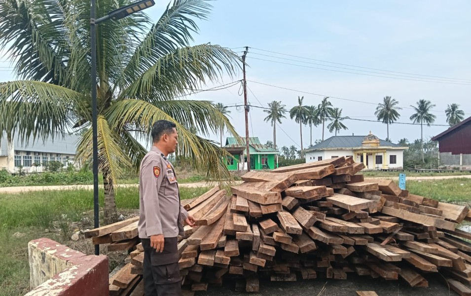 Polisi Sita 483 Keping Kayu Olahan Ilegal Berbagai Jenis di Rohil