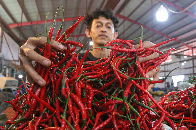 Cabai Merah Melonjak Pasca Bencana, Pemprov Riau Buka Operasi Pasar di Empat Titik